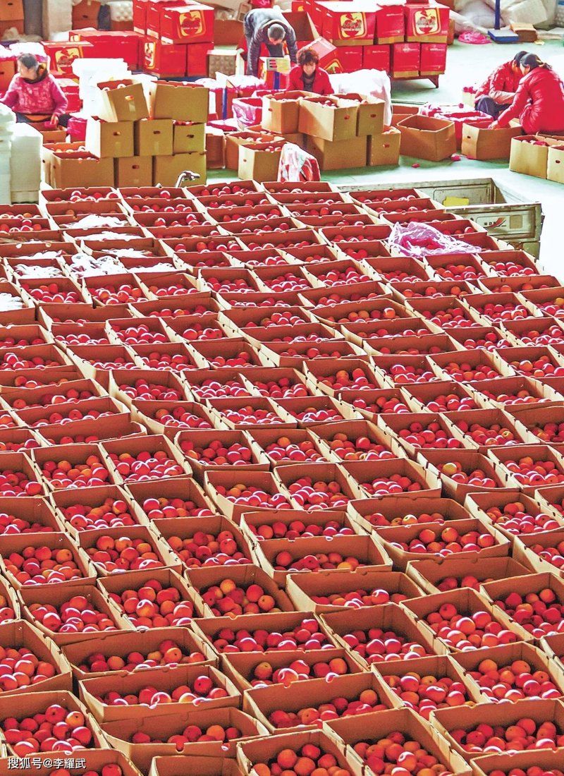 食品批发的行业风向标：未来发展趋势与机遇